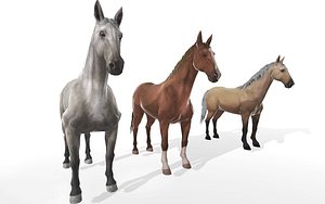 realistic animal horse rigged 3D model
