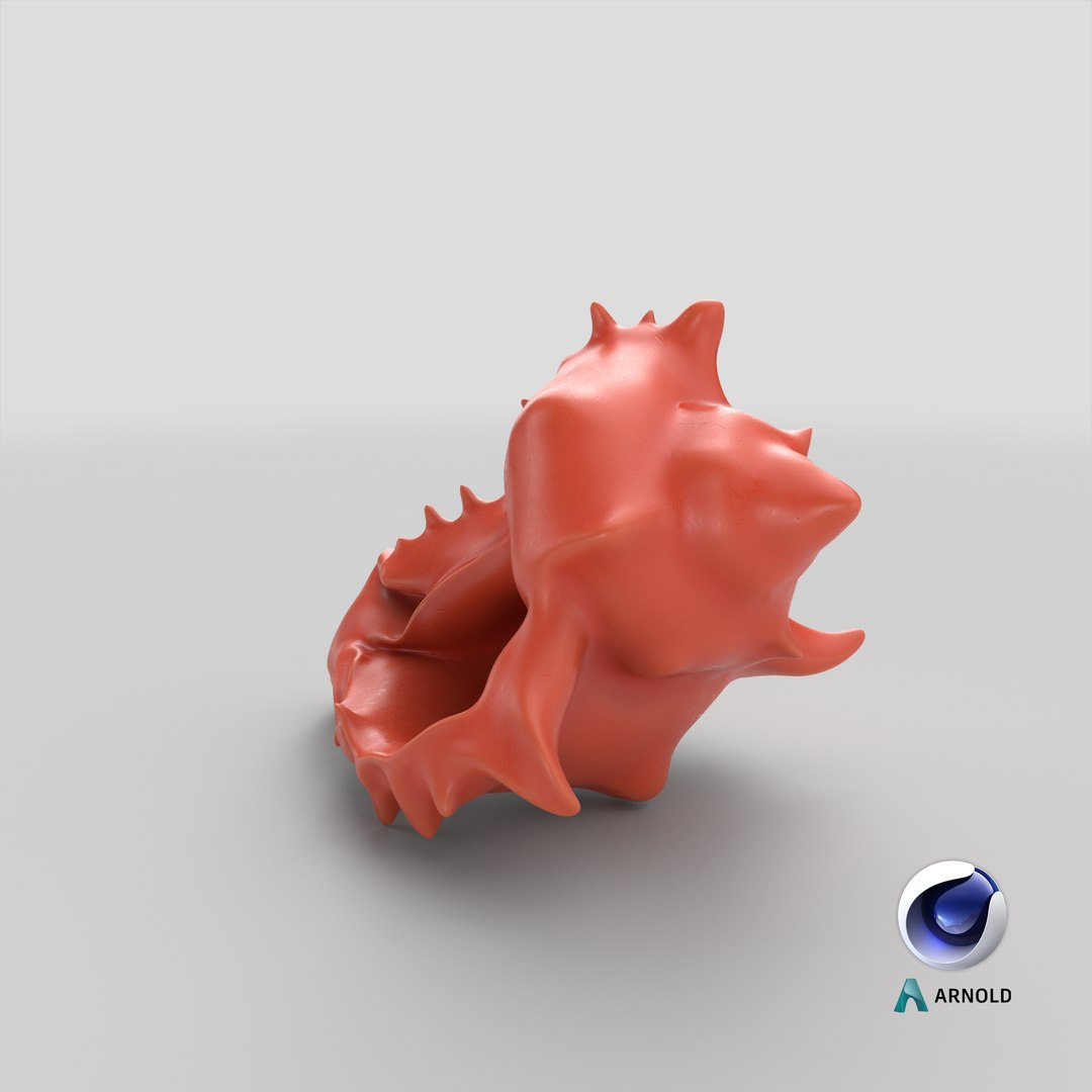 3D Model Big Sea Shell Plastic Toy - TurboSquid 1996552