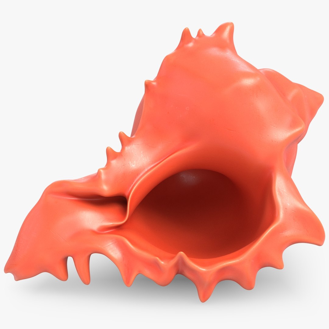 modelo 3d Big Sea Shell Plastic Toy TurboSquid 1996552