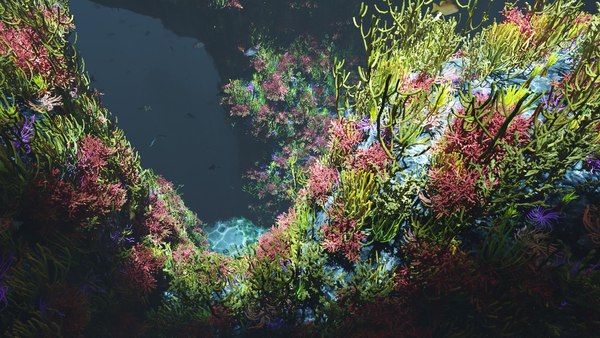modelo 3d Underwater reefs - TurboSquid 1974920