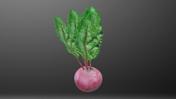 3D Beetroot model