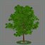 tree - max