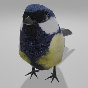 birb 3D model
