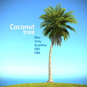 realistic coconut palm tree 3d max