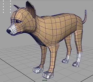 Chihuahua Dog