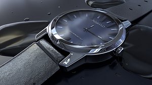 wrist watch
