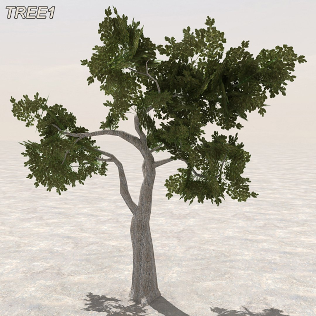 arab mega 2 city 3d model https://p.turbosquid.com/ts-thumb/0L/9mTABn/DdBVxTvQ/atree08/jpg/1404562334/1920x1080/fit_q87/7f5660041b6a54203fdeeb969012d108c4c21ca1/atree08.jpg