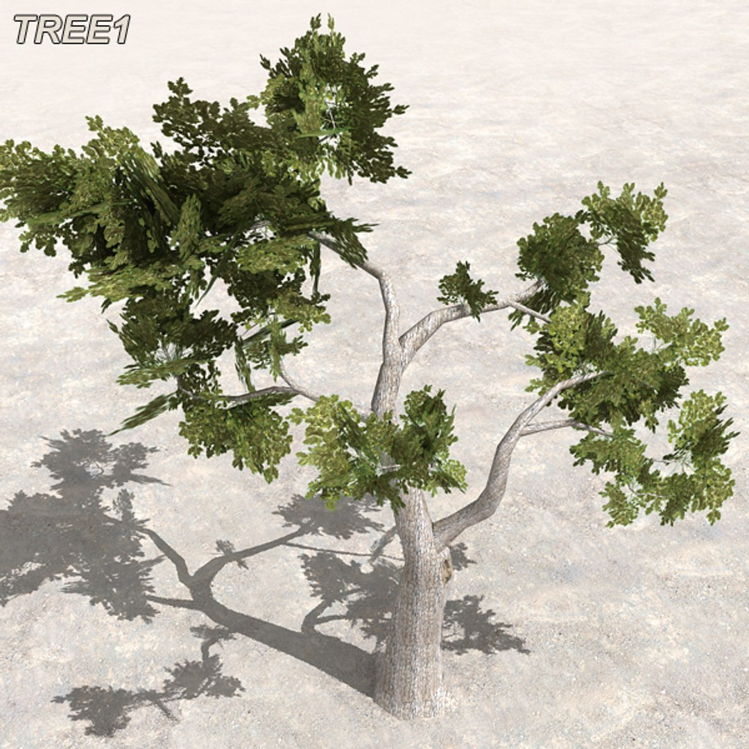 arab mega 2 city 3d model https://p.turbosquid.com/ts-thumb/0L/9mTABn/UHcfO9Rp/atree02/jpg/1404562334/1920x1080/fit_q87/2510a8bbe0f9f512190ba25dc0dc03aab18caec2/atree02.jpg