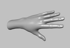 maya polygonal human hand