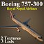 B753 RNA