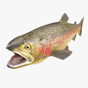 Brown Trout Fish model