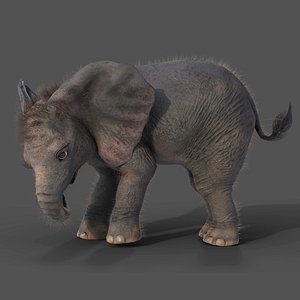 Fur Baby Elephant Rigged in Blender 3D model