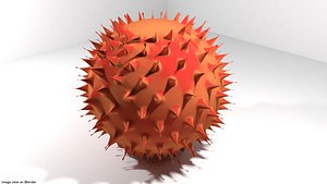 Tropical Fruit - Rambutan