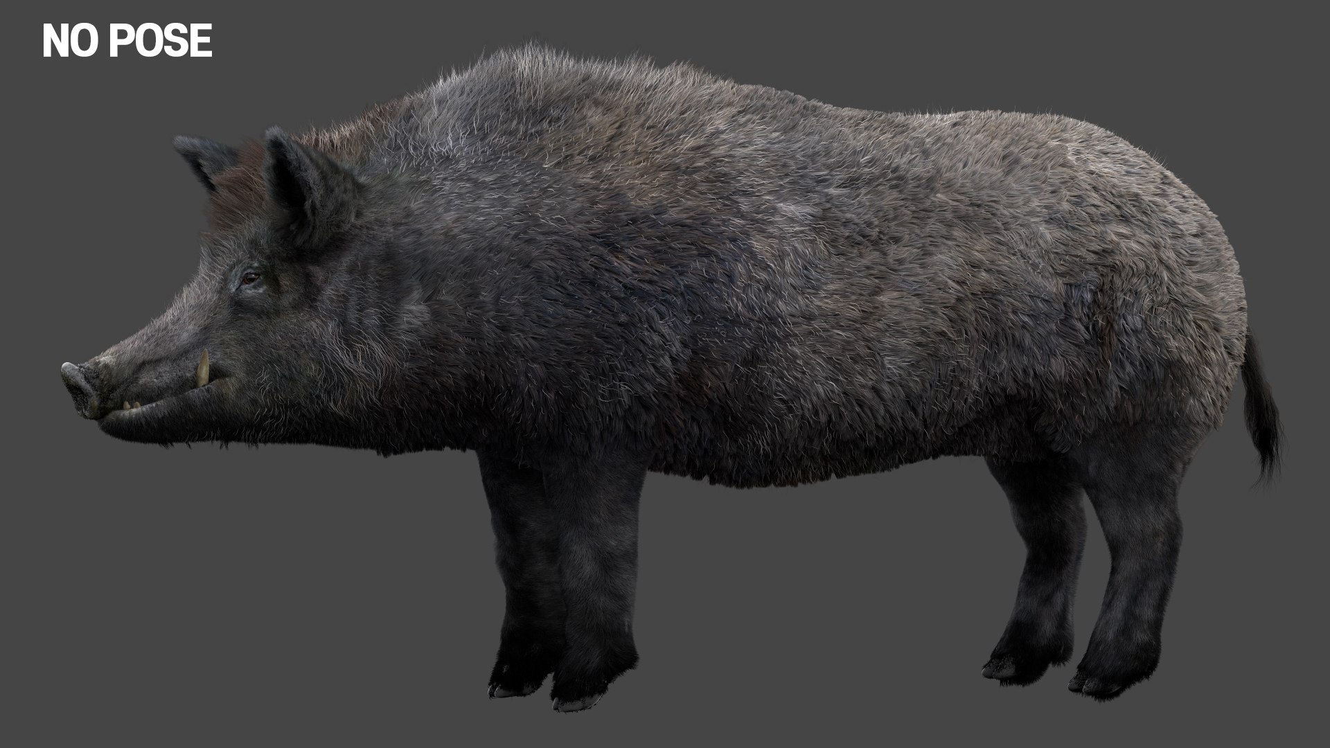 3D pig animal boar https://p.turbosquid.com/ts-thumb/0L/TpSbvo/0Bixwc2J/03/jpg/1578881359/1920x1080/fit_q87/9810f24b0dcf4f6de41ac1d75f915a5becd4aa59/03.jpg