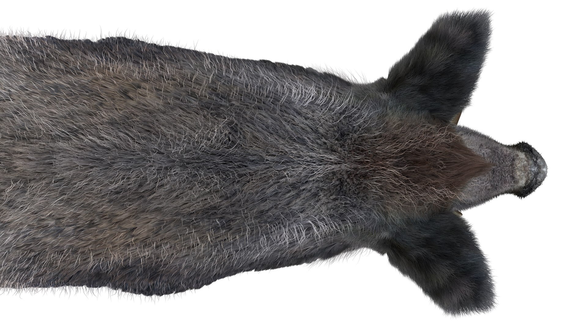 3D pig animal boar https://p.turbosquid.com/ts-thumb/0L/TpSbvo/GTyVuDcL/18/jpg/1578881359/1920x1080/fit_q87/68573ffa811f247110de95ed86a3c13ea0cab91f/18.jpg