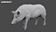 WildBoar Fur Rigged