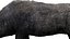 WildBoar Fur Rigged
