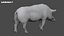 WildBoar Fur Rigged