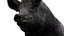 WildBoar Fur Rigged