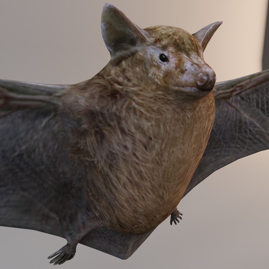 3ds max brown bat