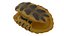 Turtle shell 3D model