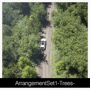 3D ArrangementSet1-Trees- 103trees model