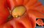 Realistic Tomato Scan 8K PACK