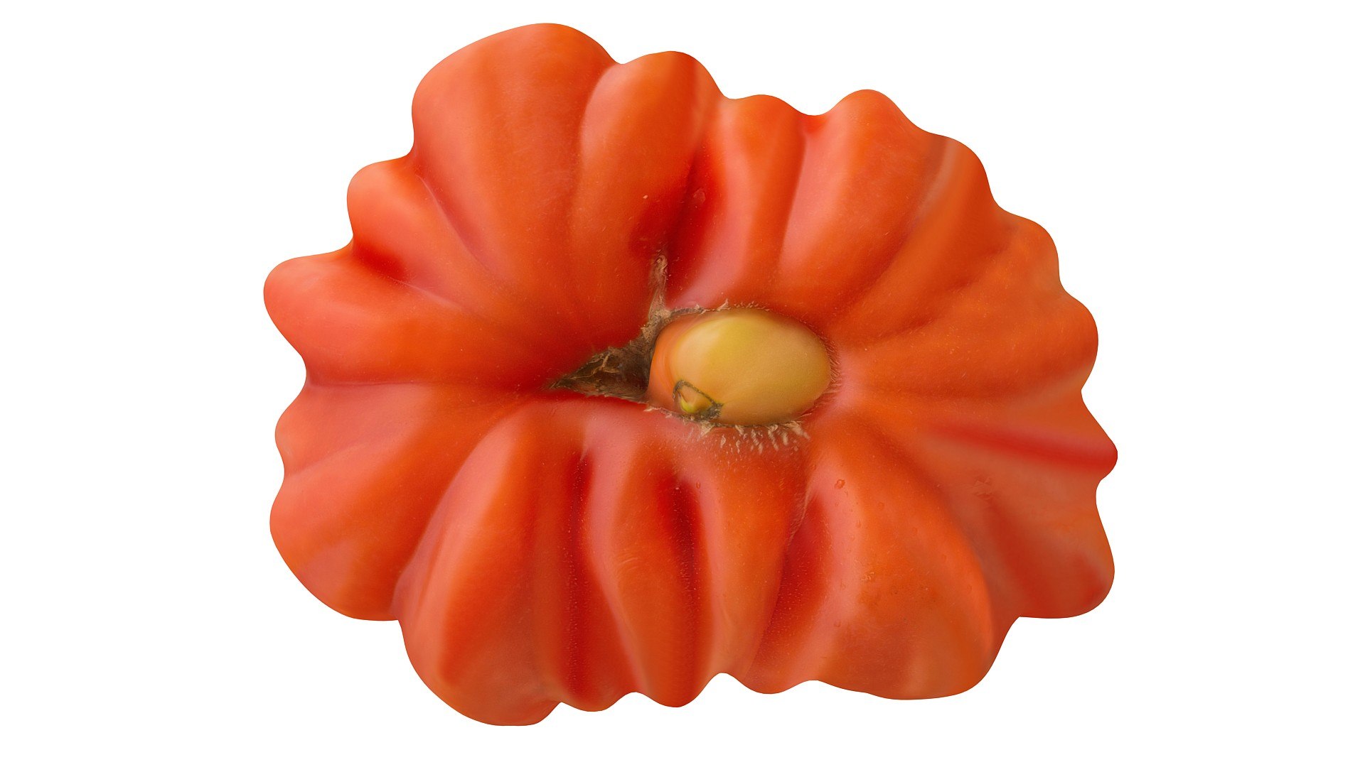 3d tomato scanned 8k packing model https://p.turbosquid.com/ts-thumb/0M/8So4bd/ikCgpcs7/7764/jpg/1431272963/1920x1080/fit_q87/a79d9f5ee9a19b664f08562fa44600c067ed81ea/7764.jpg
