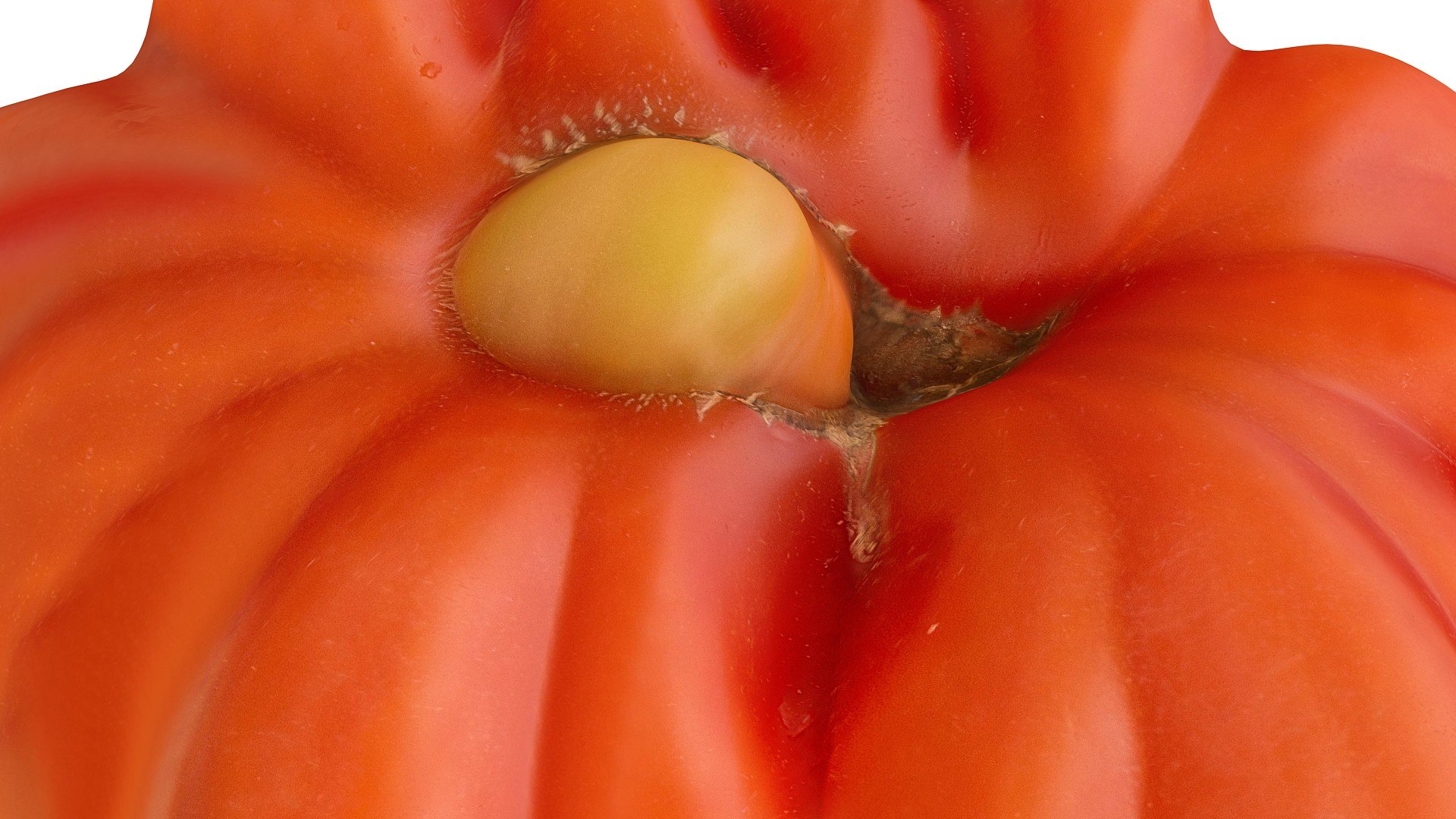 3d tomato scanned 8k packing model https://p.turbosquid.com/ts-thumb/0M/8So4bd/qg6YqwHn/0978/jpg/1431272963/1920x1080/fit_q87/17bd27ace2988c7ddbc099e2b7b370d720f7e830/0978.jpg