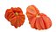 Realistic Tomato Scan 8K PACK