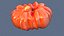 Realistic Tomato Scan 8K PACK