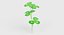 Clover 3