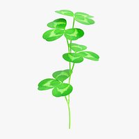 Clover 3