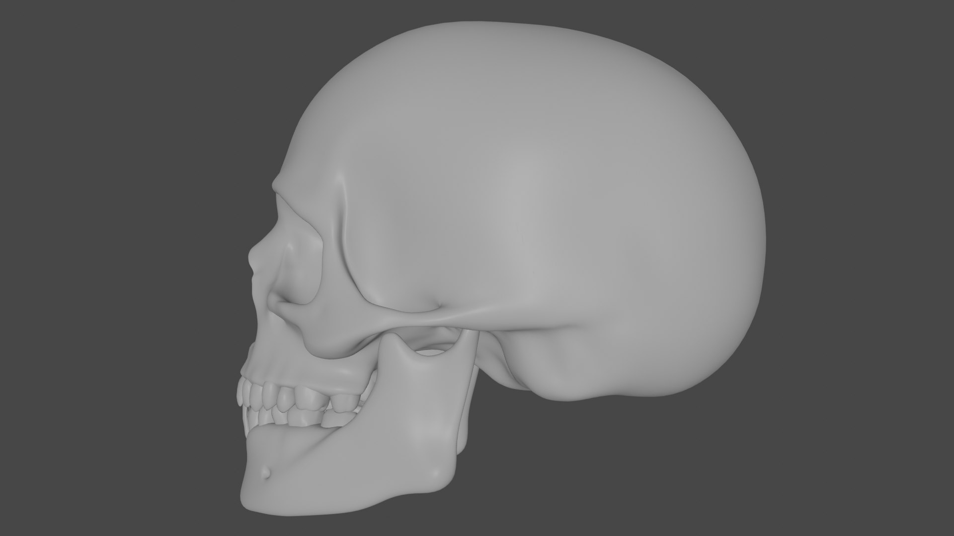 Human Skull Model - TurboSquid 1518971