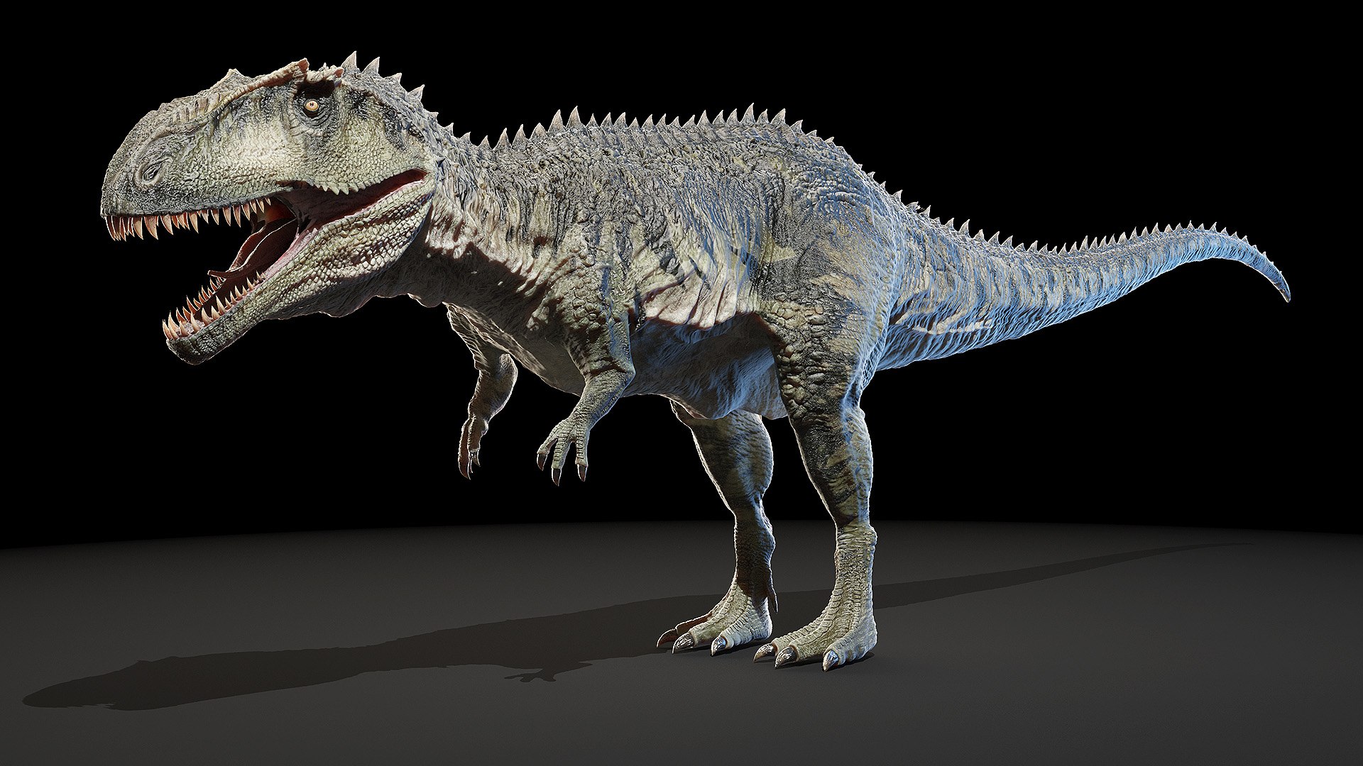 Giganotosaurus Giganoto 3d Model - Turbosquid 1574979