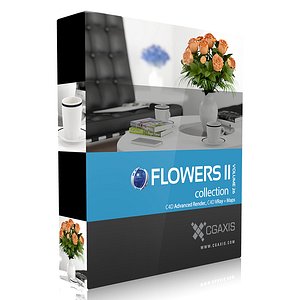 volume 26 flowers ii 3d model