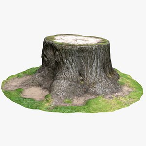 Tree Stump