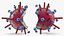 Influenza Virus Cross-Section Teaching Model Red