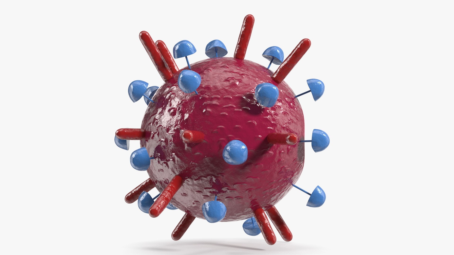 Influenza Virus Cross-Section Teaching Model Red 3D https://p.turbosquid.com/ts-thumb/0M/en6fgc/Fv/influenza_virus_crosssection_teaching_model_red_007/jpg/1748564660/1920x1080/fit_q87/84fd48785181aa6b444c3cec63120666e7cd4ed3/influenza_virus_crosssection_teaching_model_red_007.jpg