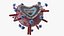 Influenza Virus Cross-Section Teaching Model Red