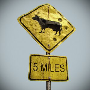 Road Sign