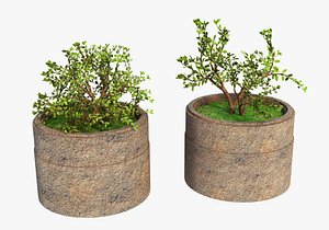 plant pot 3D model