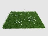 Maya Realistic Grass instancing