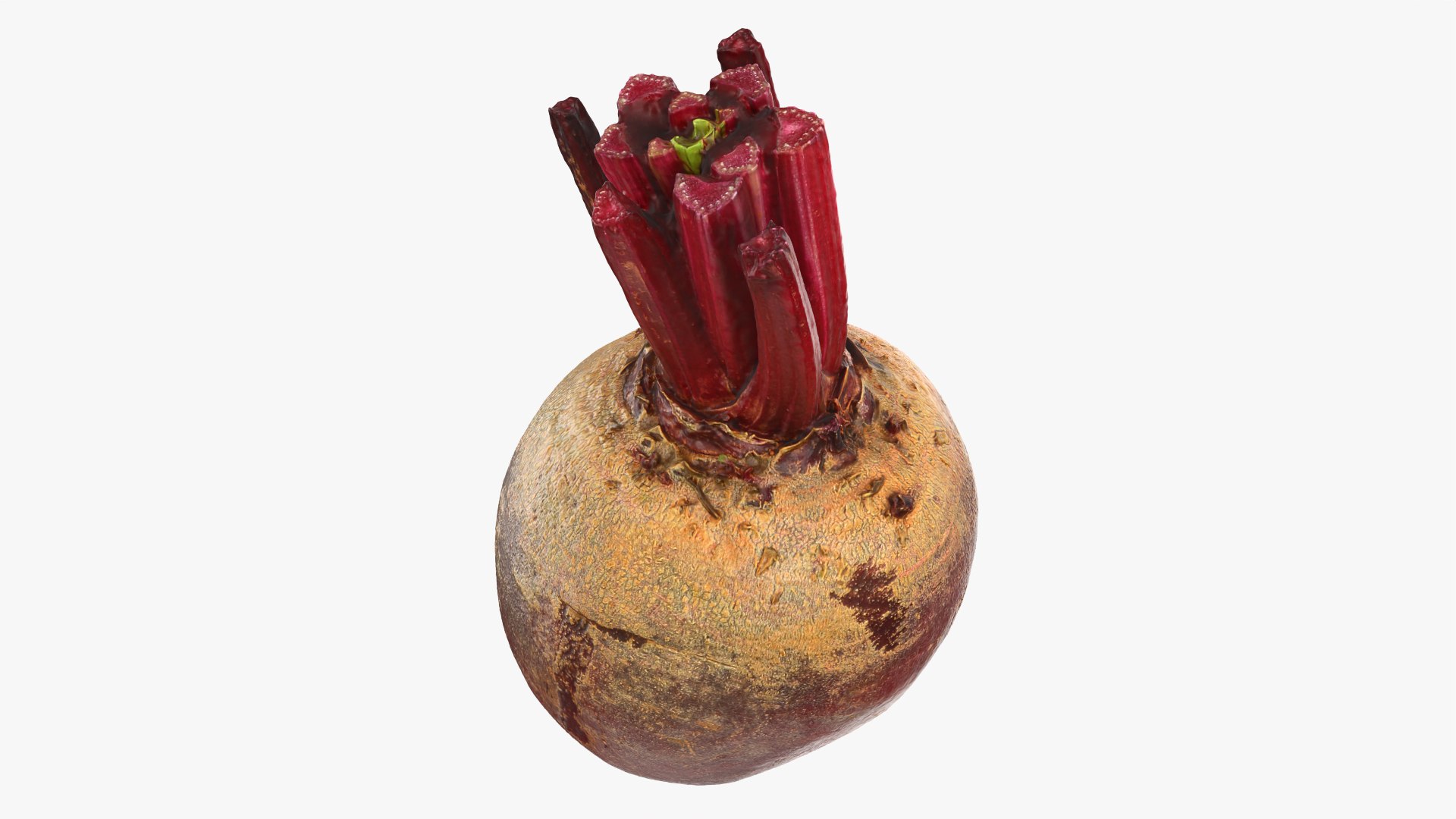 Beet Collection model https://p.turbosquid.com/ts-thumb/0M/yGwfrz/Ii/beetroot_0003/png/1765825047/1920x1080/fit_q87/0b888a4dafc4f1dca83966d2a2c31aa746fd70f6/beetroot_0003.jpg