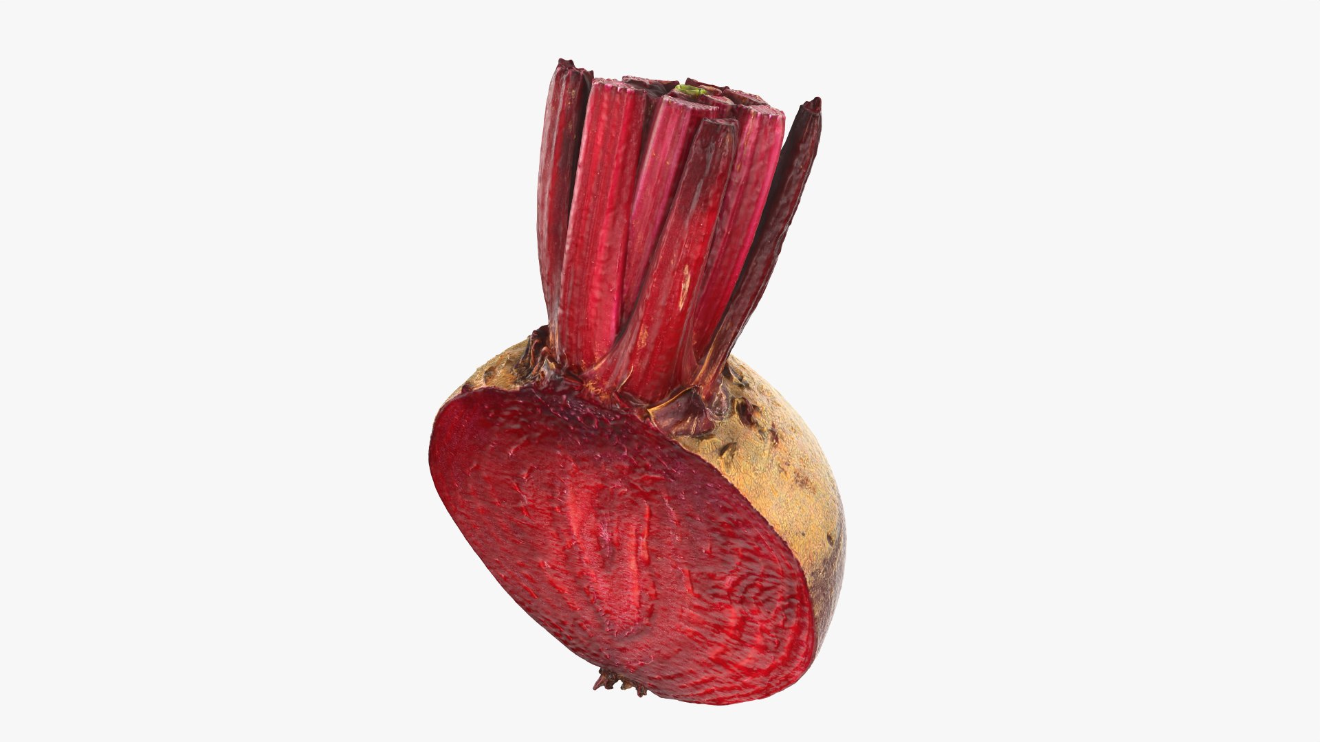 Beet Collection model https://p.turbosquid.com/ts-thumb/0M/yGwfrz/NE/beetrootcut_0003/png/1765825068/1920x1080/fit_q87/ca4bfaf89367c0065a2f0840f55b7a9afec294bd/beetrootcut_0003.jpg