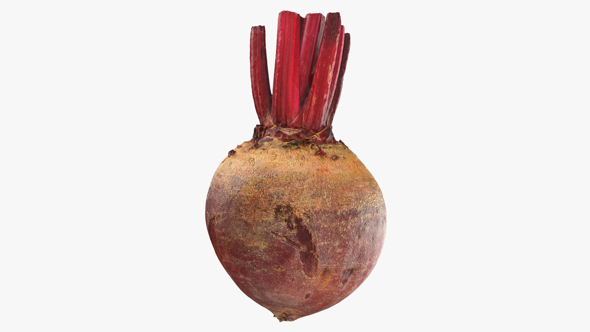 Beet Collection model https://p.turbosquid.com/ts-thumb/0M/yGwfrz/ZY/beetroot_0002/png/1765825045/1920x1080/fit_q87/9f9f4e51519c920a3c66ab58a68b6a5239bb4119/beetroot_0002.jpg