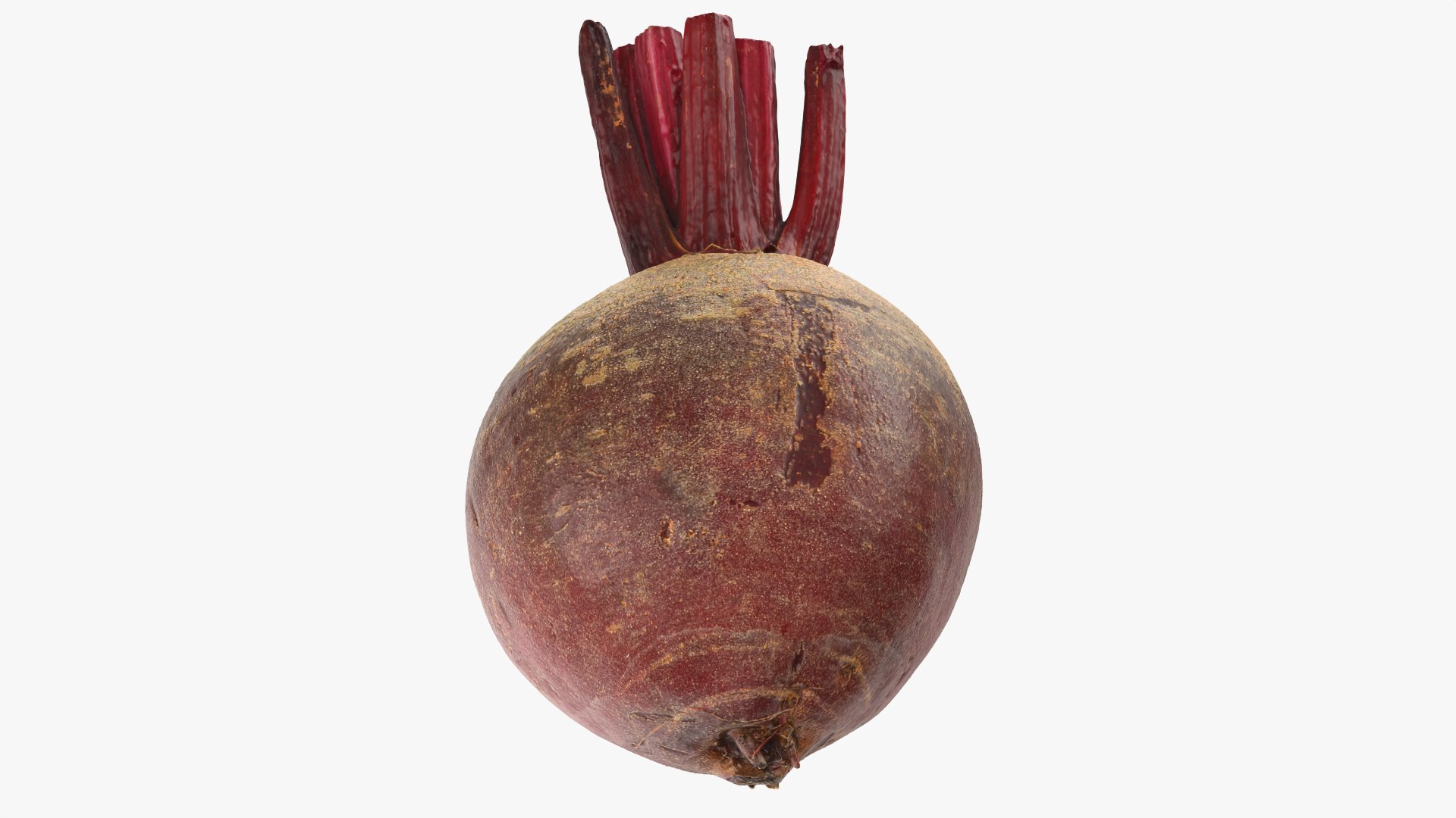 Beet Collection model https://p.turbosquid.com/ts-thumb/0M/yGwfrz/jt/beetroot_0011/png/1765825056/1920x1080/fit_q87/8f547ceddf6231bc2aaa948c4141065ef67b1c82/beetroot_0011.jpg