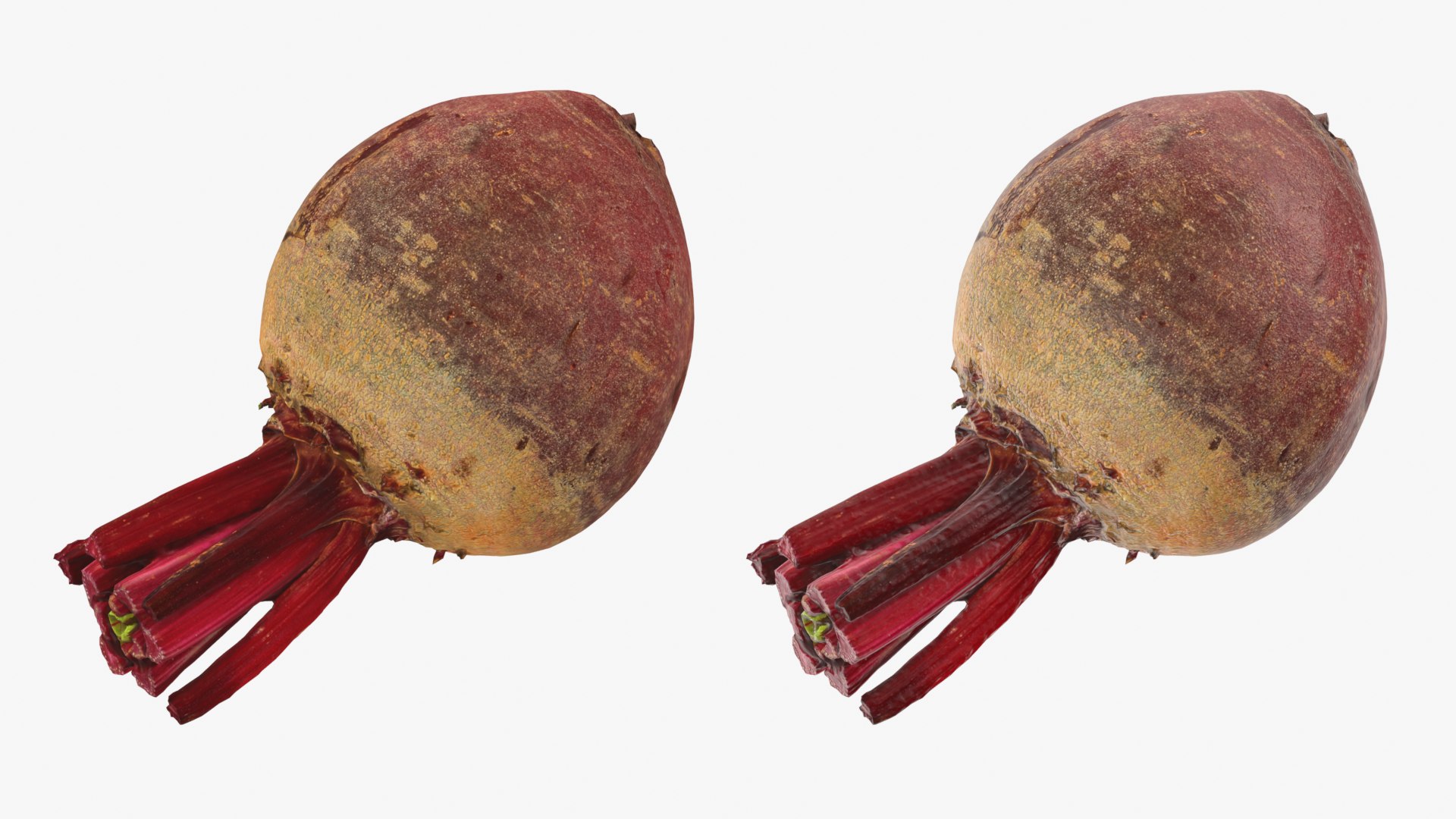 Beet Collection model https://p.turbosquid.com/ts-thumb/0M/yGwfrz/mX/beetroot_0001b/png/1765825047/1920x1080/fit_q87/4b7142e333731c0b2a29ae5292fa2982327c7095/beetroot_0001b.jpg