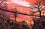 Sunset Pedestrian Bridge Mountain
