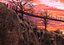 Sunset Pedestrian Bridge Mountain